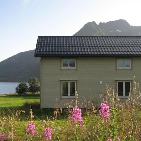 Charming House By The Sea, Lofoten! Laupstad Exterior foto