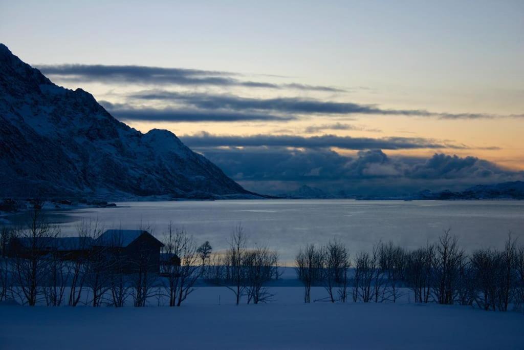 Charming House By The Sea, Lofoten! Laupstad Exterior foto